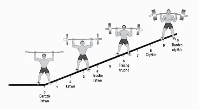 Jak zaplanować trening na siłowni? Klucz do masy i siły!
